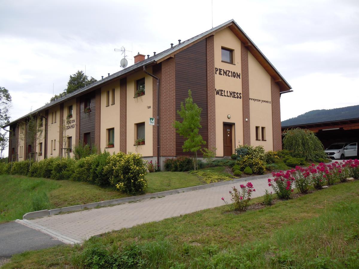 Penzion Jecminek Červená Voda Exterior foto