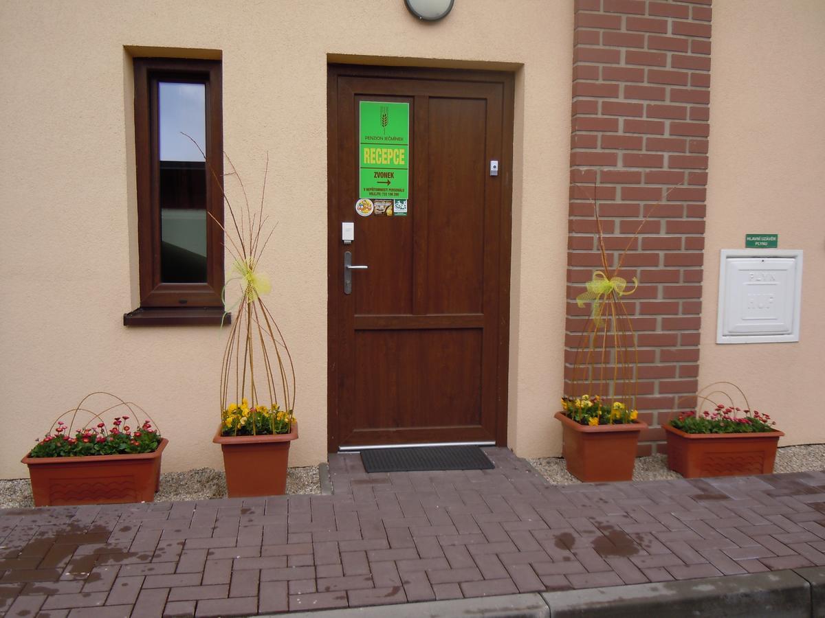 Penzion Jecminek Červená Voda Exterior foto